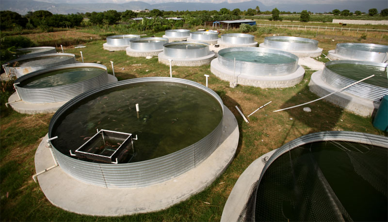 ��ֳҵ��ˮ��