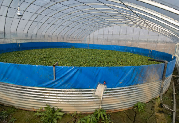 ����������ˮ��